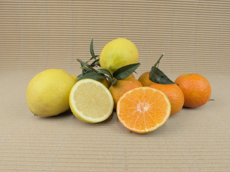 10 (10 20 kg + Zitronen Kiste kg kg Mandarinen) Gemischt
